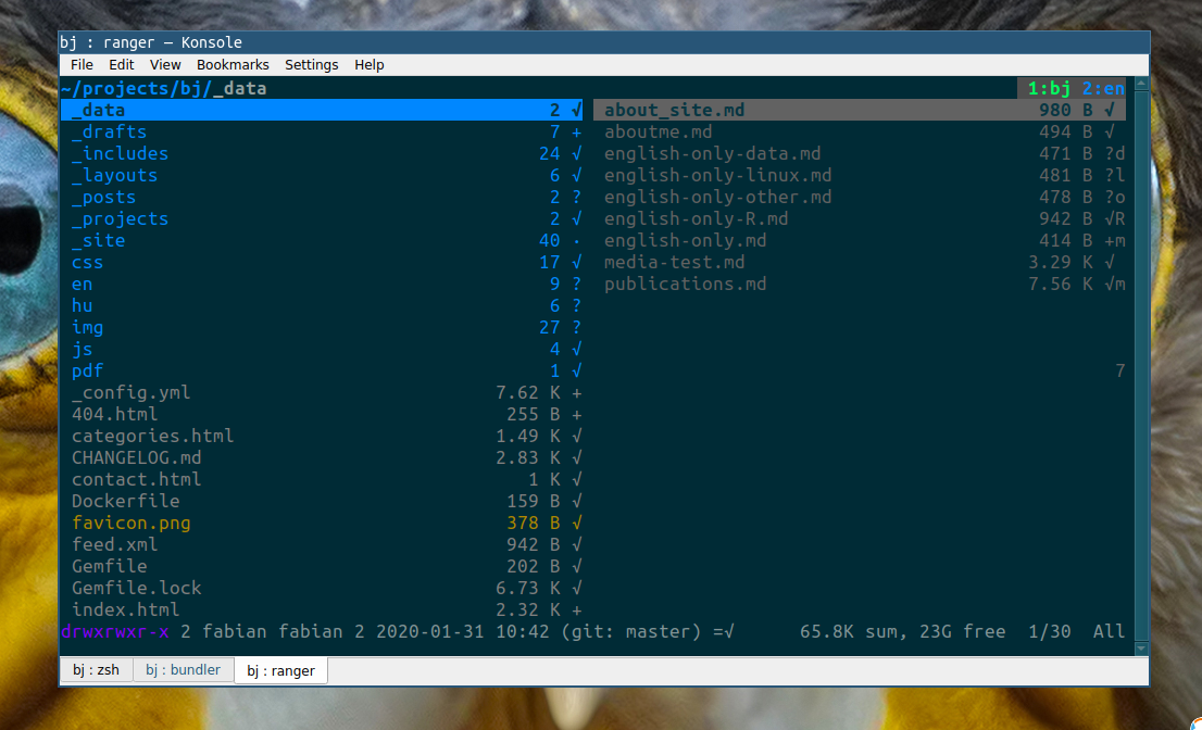 ranger in dual-pane mode